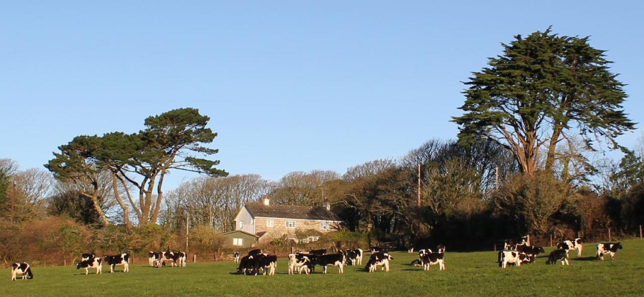 Coombe Farmhouse Bed and Breakfast St Ives Buitenkant foto