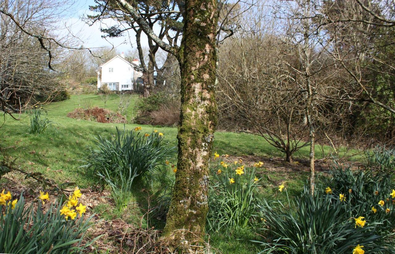 Coombe Farmhouse Bed and Breakfast St Ives Buitenkant foto