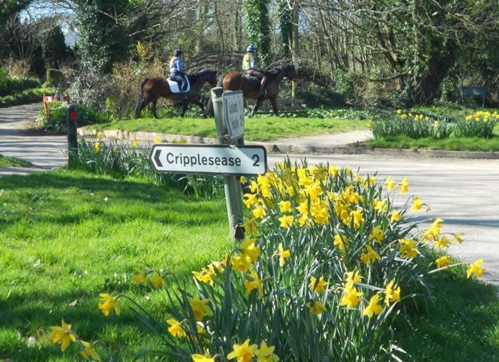 Coombe Farmhouse Bed and Breakfast St Ives Buitenkant foto