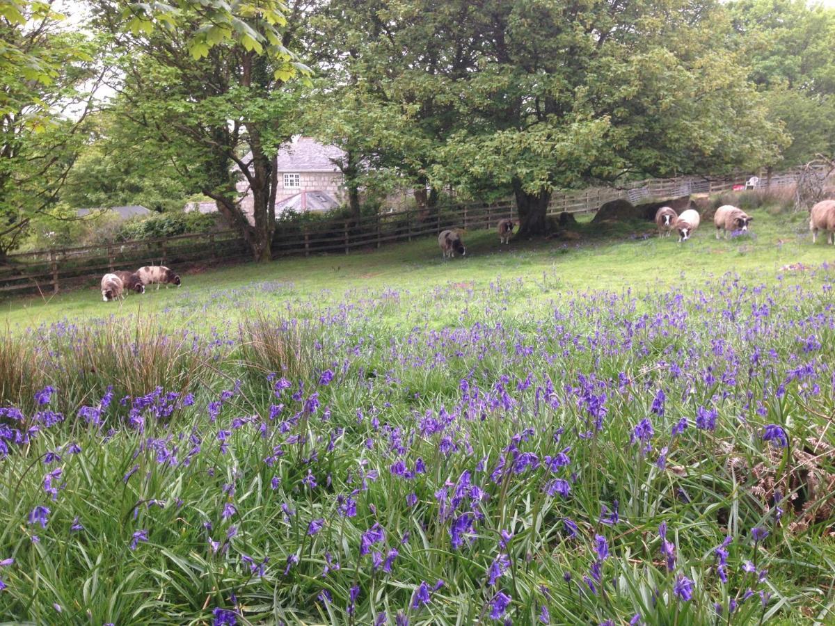 Coombe Farmhouse Bed and Breakfast St Ives Buitenkant foto